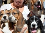 Первые в мире щенки из пробирки выведены в США (Видео) 