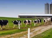 Украина углубит связи с Беларусью по торговле сельхозпродукцией