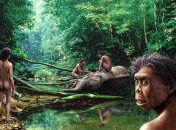 Найдена кость древнего человека-хобитта