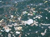 В Средиземном море плавает "остров" из кучи пластикового мусора