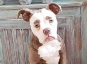 Какие знаки Зодиака загрустят в середине августа 2022 года