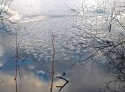 Приметы и обряды на 20 марта – День Павла Капельника