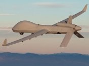 Такі "пташки" могли б дуже допомогти українській армії в бою з окупантами.