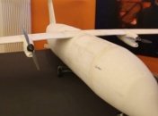 На 3D-принтере впервые распечатан "самолет"