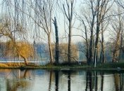 В Украине царит теплый воздух с Балкан  