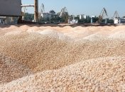 Украинское зерно стало яблоком раздора, но выход есть