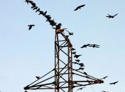 В Славянске остановят энергоблок местной ТЭС 