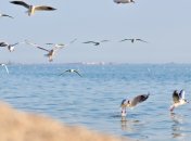 Страх путешествовать отступает: где украинцы проводят отпуск в 2021 году