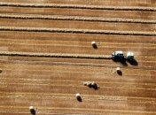 ЕБРР: отсутствие рынка земли снижает ВВП Украины на 1%