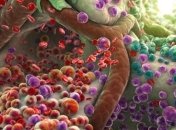 Эти признаки указывают на переизбыток токсинов в организме