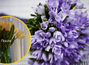 Поради щодо догляду за подарунками на 8 березня