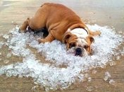 Прогноз погоды в Украине 19 августа: жаркий и солнечный день укроет страну