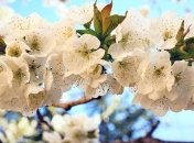 13 квітня 2020 - цей день в історії, прикмети, події