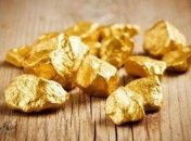 ГПУ вернула американской компании лицензию на добычу золота в Закарпатье