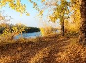 Погода в Украине на сегодня: солнечно будет на западе и юге  