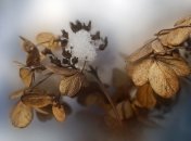 Погода на ноябрь-декабрь 2022