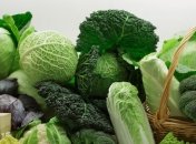 Какими целебными свойствами обладает капуста