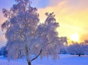 Прогноз погоды в Украине на сегодня: солнечно и без осадков 