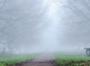 Декабрь встречает морозно: прогноз погоды на первые дни зимы