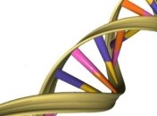 Ученые записали альбом Massive Attack на ДНК