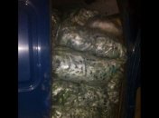 Боевикам хотели провезти 10 тонн продуктов