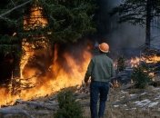 Создана новая модель лесных пожаров для контроля бедствия