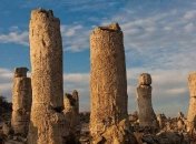 Чудо природы: каменный лес (Фото)