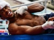 Джошуа получит около 20 млн долларов за бой с Паркером