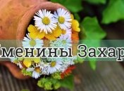 У кого сегодня день ангела: значение имени и оригинальные поздравления