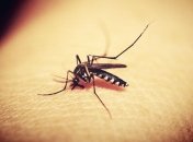 Ученые нашли способ защитить человека от комаров