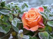 Какой завтра праздник: приметы и обряды на 21 ноября