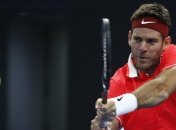 Следом за Надалем турнир в Майами пропустит Дель Потро