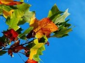 Прогноз погоды на 27 сентября: холодно и без осадков