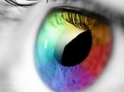 Ученые: Человек воспринимает цвета в зависимости от сезона