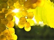 Прогноз погоды на 18 сентября: синоптики обещают +30