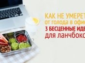 Что взять на обед на работу: 3 рецепта отличных ланчей для офиса