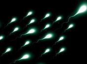 Миниатюрные плавающие устройства революционизируют лечение болезней