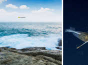 Кальмар в Атлантическом океане