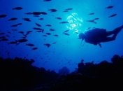 В Крыму откроют подводный город для дайверов