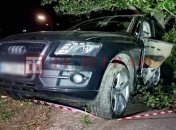 Судья с признаками опьянения протаранила дерево, чуть не вылетев в реку: эксклюзивные фото ДТП в Киеве