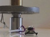 Крошечный робот может поднять груз в сотни раз тяжелее себя (Видео)