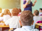 Уроки в украинских школах нужно проводить на родном языке