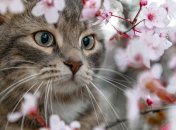 Потеплеет до 15 градусов и новое похолодание: синоптик дала прогноз погоды в Украине