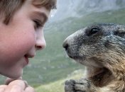 Доза позитива: забавная дружба мальчика с сурками растопит ваше сердце