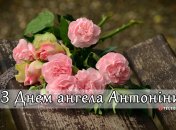 Зібрали варіанти привітань із Днем ангела Антоніни на будь-який смак