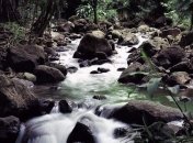 Ученые обнаружили необычную речку, которая умеет исчезать