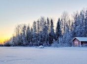 Погода в Украине 16 января: преимущественно без осадков, местами снег с дождем 