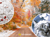 Снег осенью