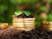 Аграрный сектор Украины получил 27 млрд грн инвестиций