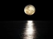 Гороскоп на неделю: все знаки Зодиака (25.11 - 1.12)